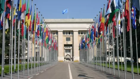Kiwi firm launches onto the world stage with United Nations App