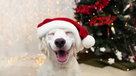 Accept the invisible Xmas gift