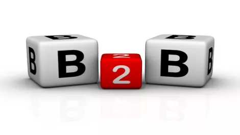 B2b1