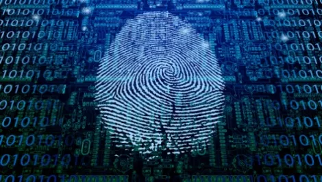 Fingerprint security