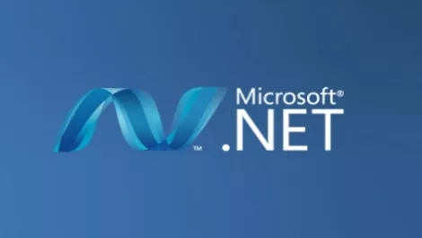 Microsoft net