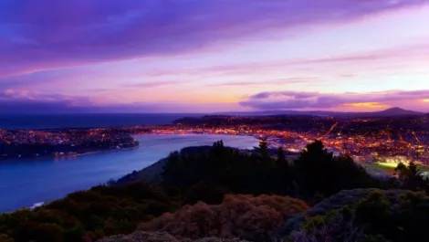 Dunedin
