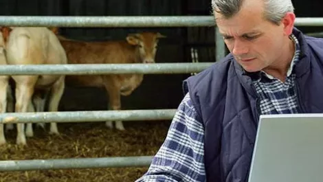 W network rural better