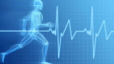 Fitness industry gets breath of life thanks to Kiwi developers