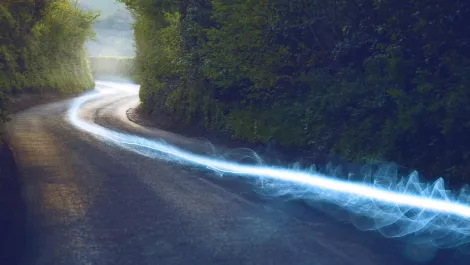 New Zealand's fibre connections double, Statistics NZ reports