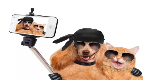 Thinkstockphotos 488221838