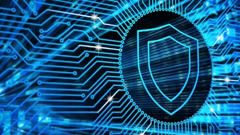 Webroot's new products harness machine learning for network & web traffic security