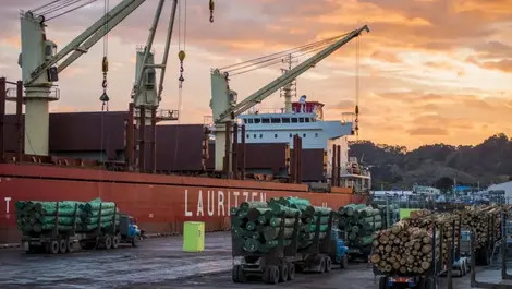 Gisborne port to invest in region’s economic growth