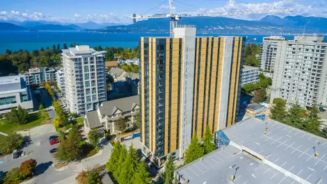 Industry leaders capturing timber’s advantages