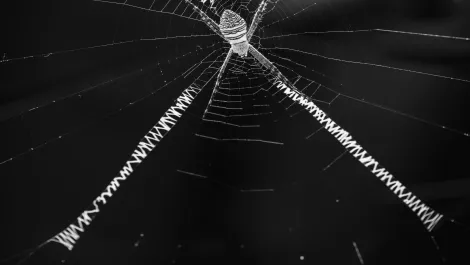 Thinkstockphotos 834128226