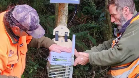 4kcqby1 nz auto traps has designed a trap which turns off during the day to avoid killing native birds and can reset itself automatically supplied jpg