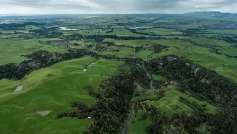 'They vote with their feet': Dam backer says businesses leaving region over lack of water